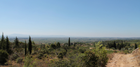 Mooie vergezichten over de Minervois.